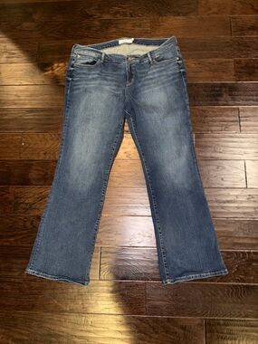 Torrid Women's Blue Denim Jeans - Mid Wash